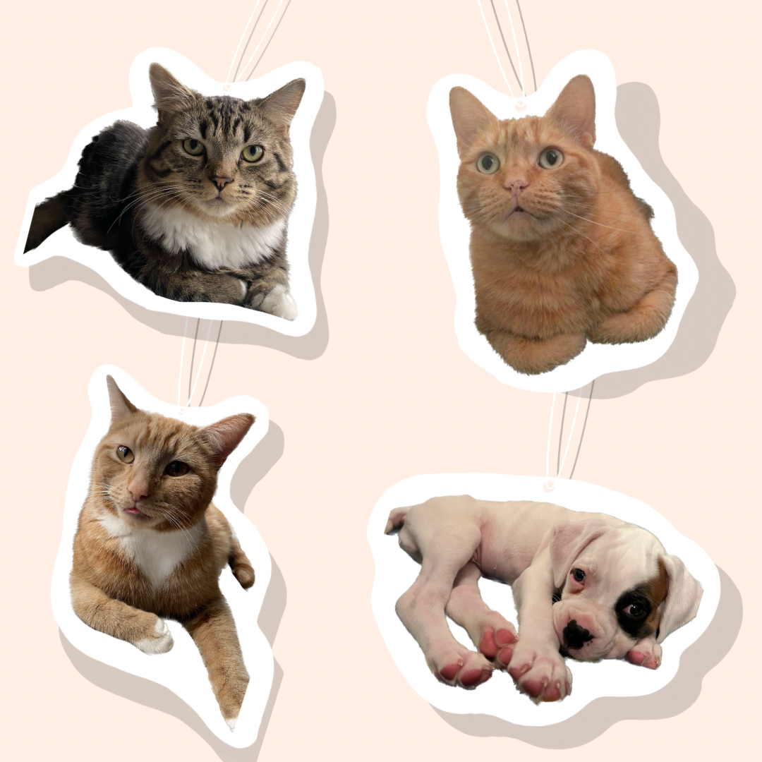 Personalised Pet Car Air Freshiee